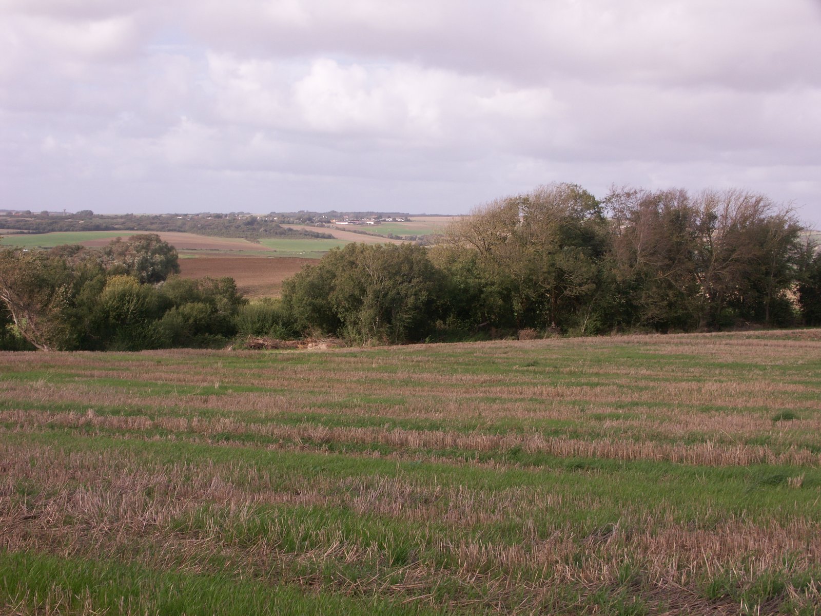 Image 91