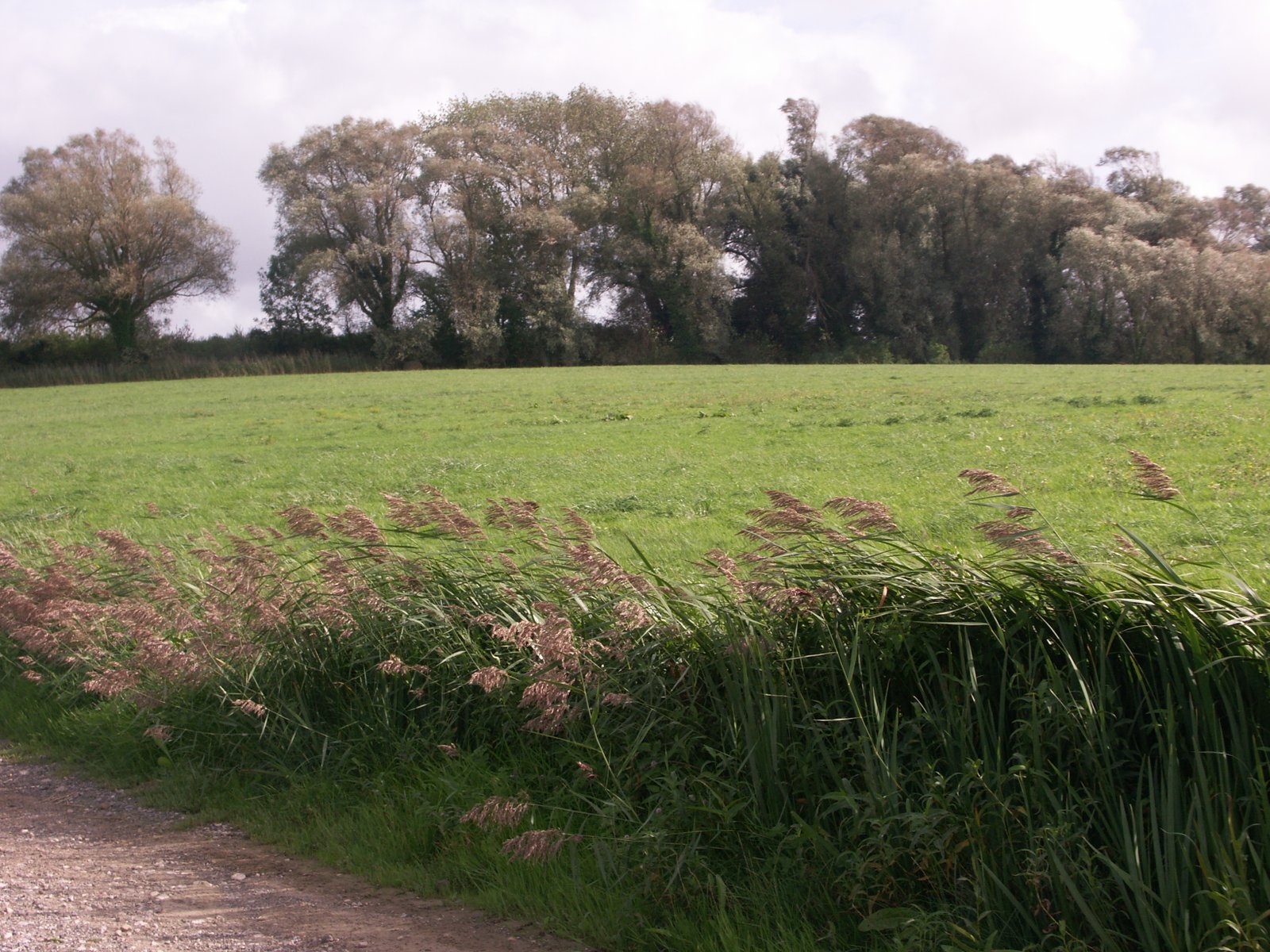 Image 205