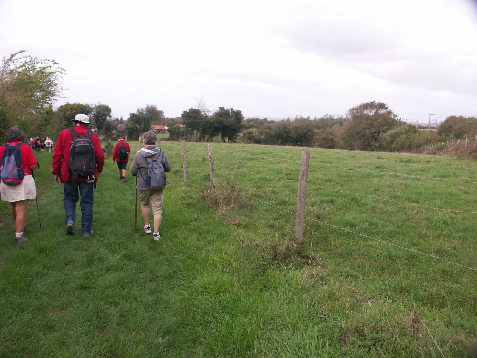 Image 88