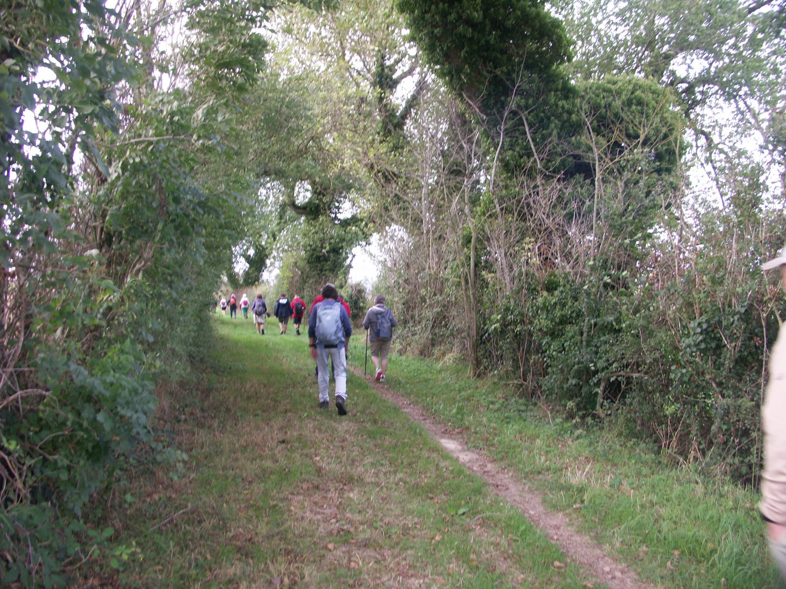 Image 0