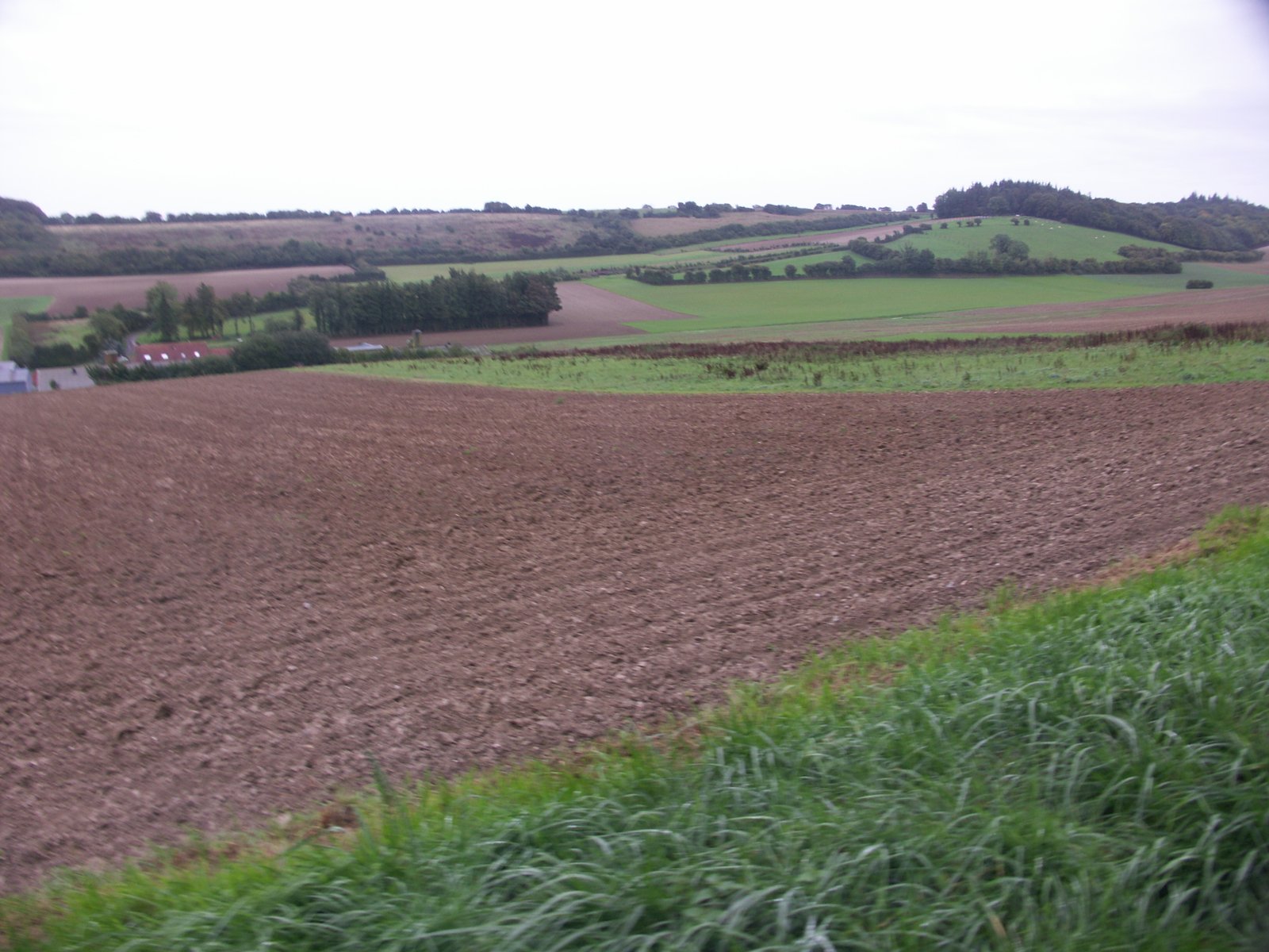 Image 17