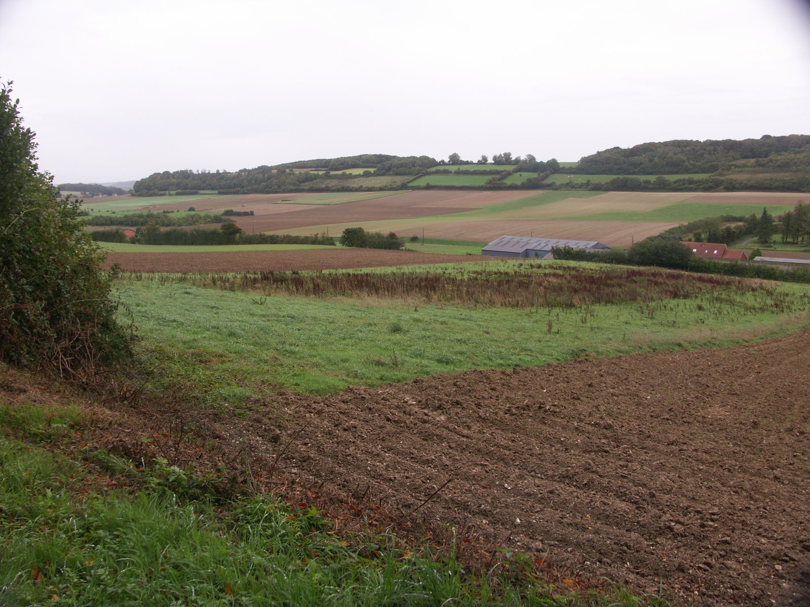 Image 152