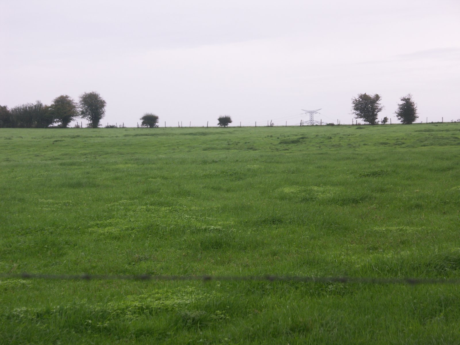 Image 73