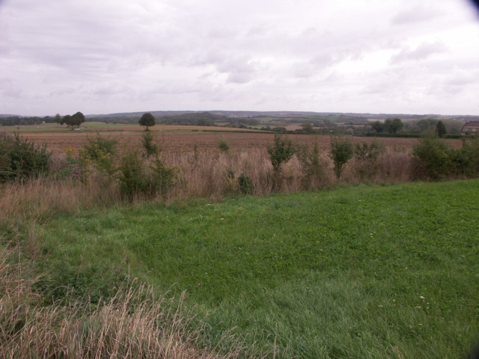 Image 133