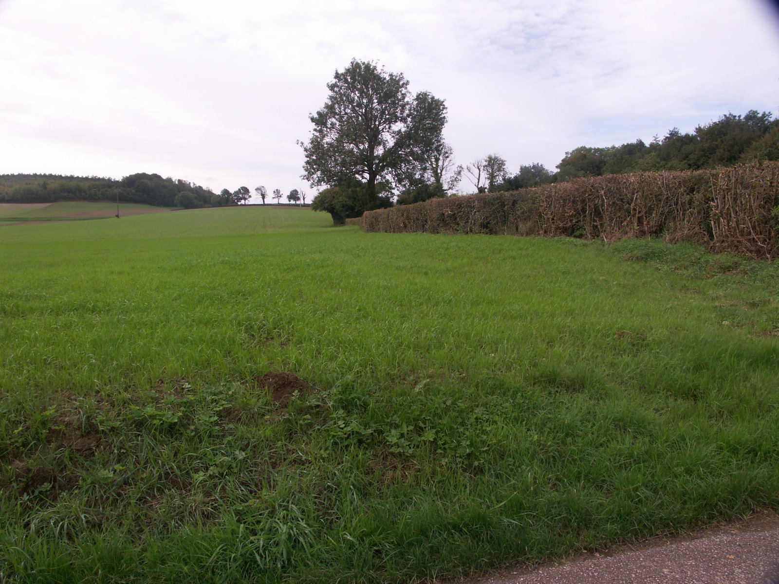 Image 170