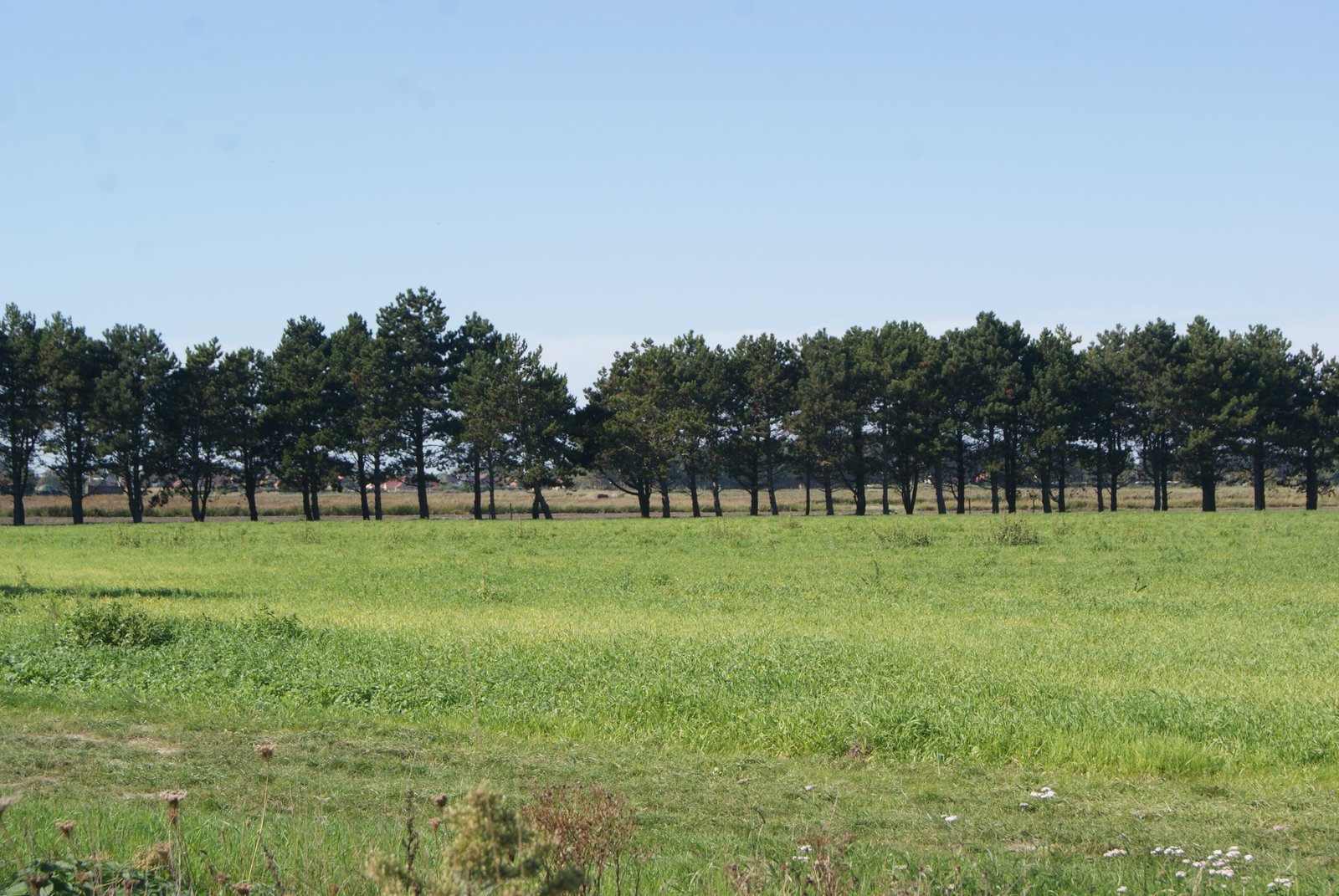 Image 205