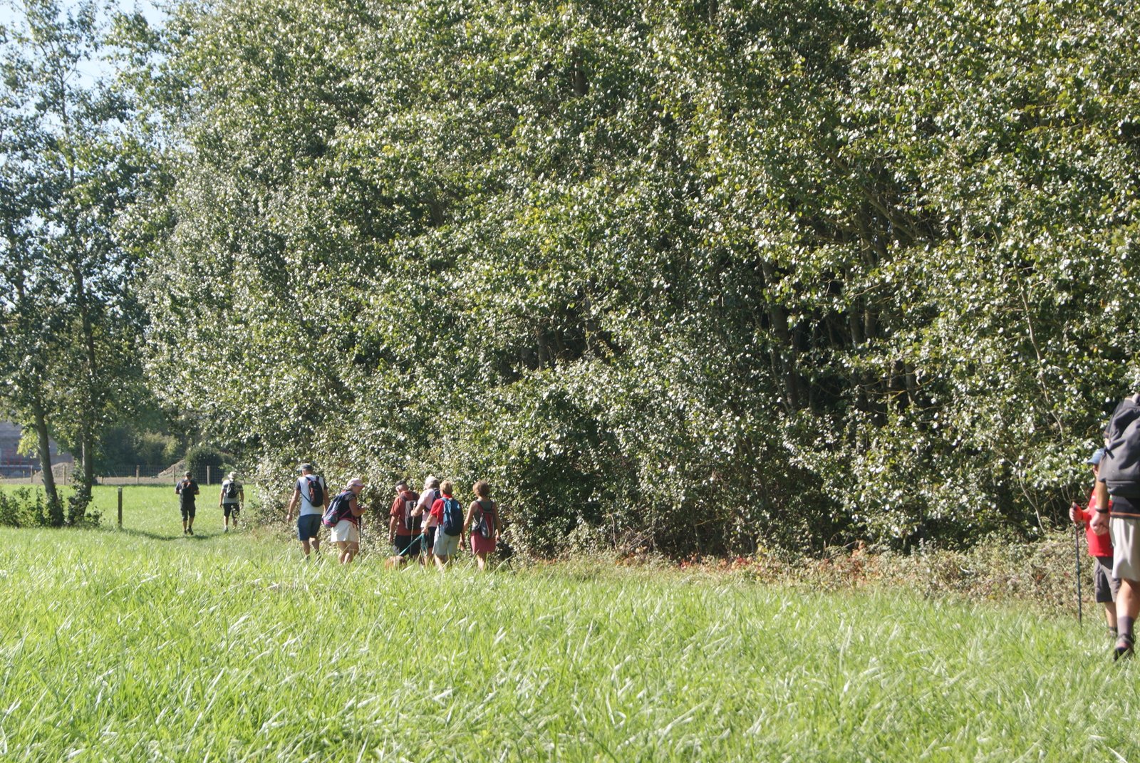 Image 37