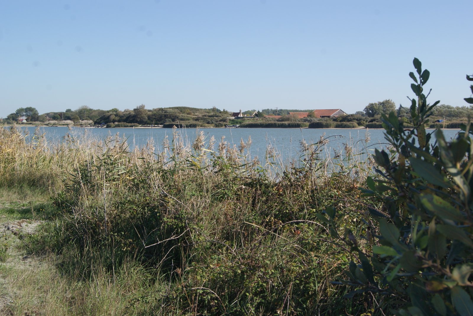 Image 235