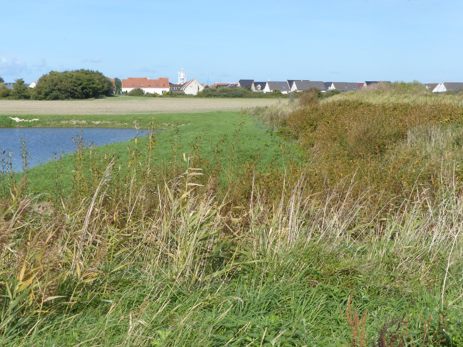 Image 88