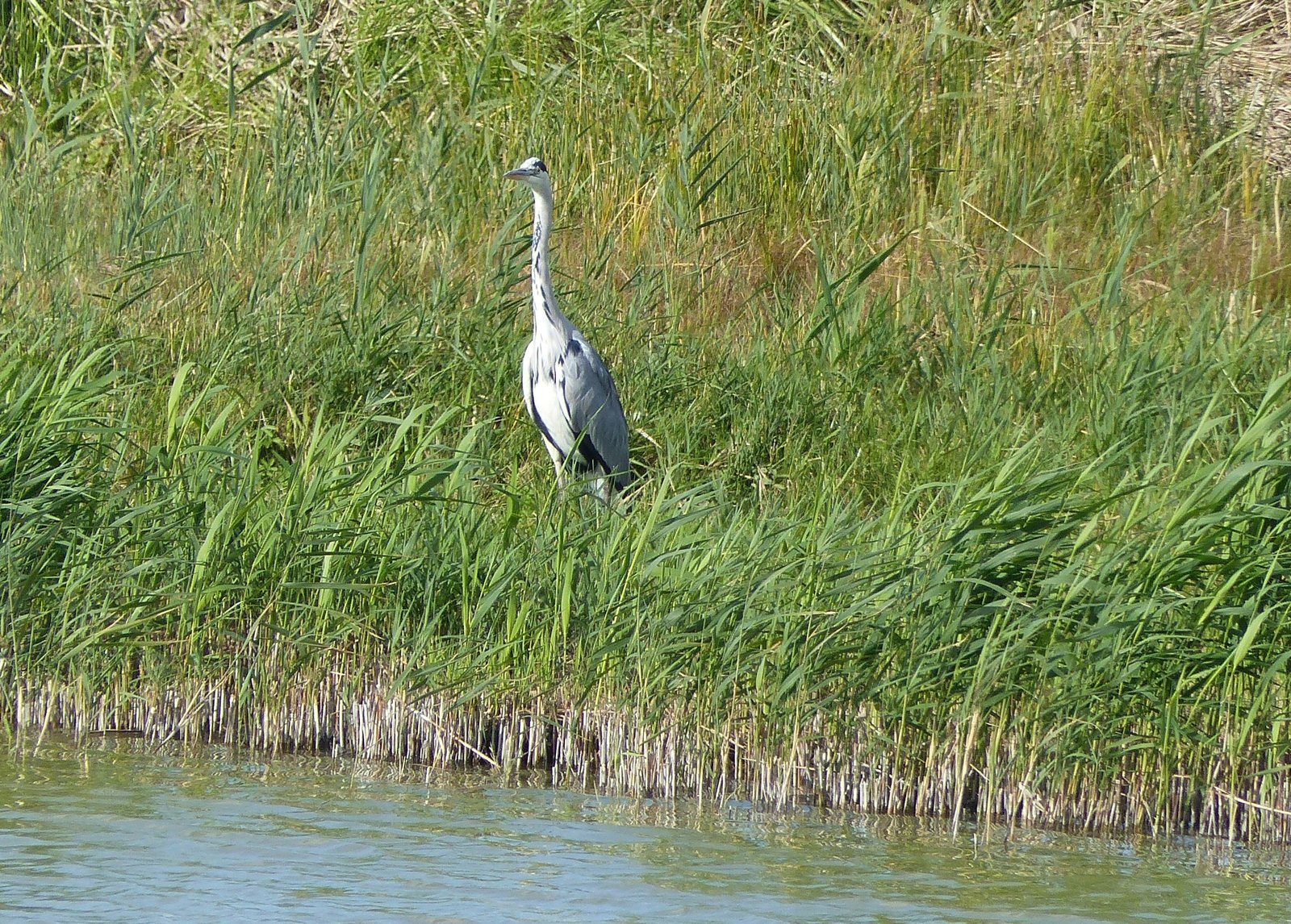 Image 123