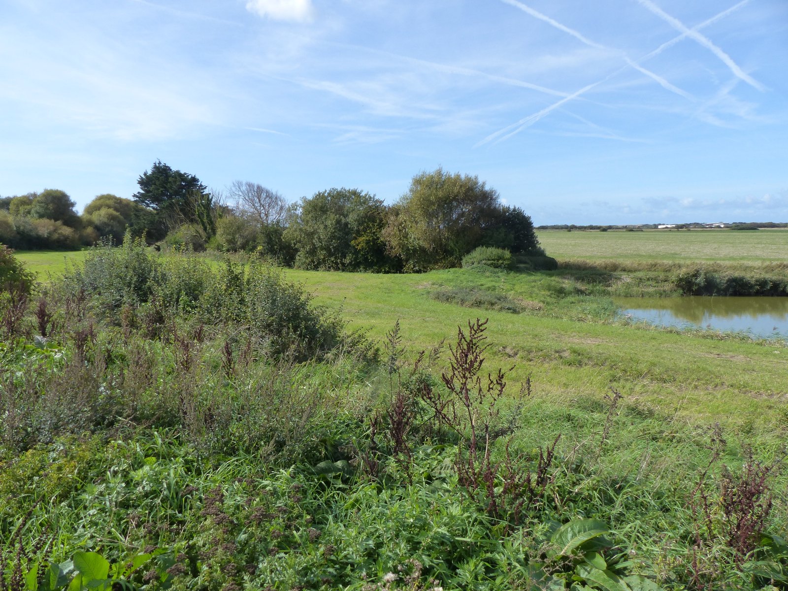 Image 121