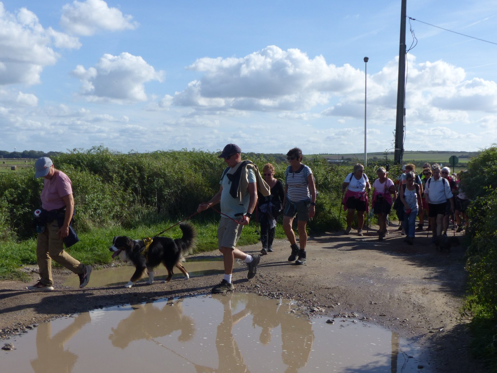 Image 134