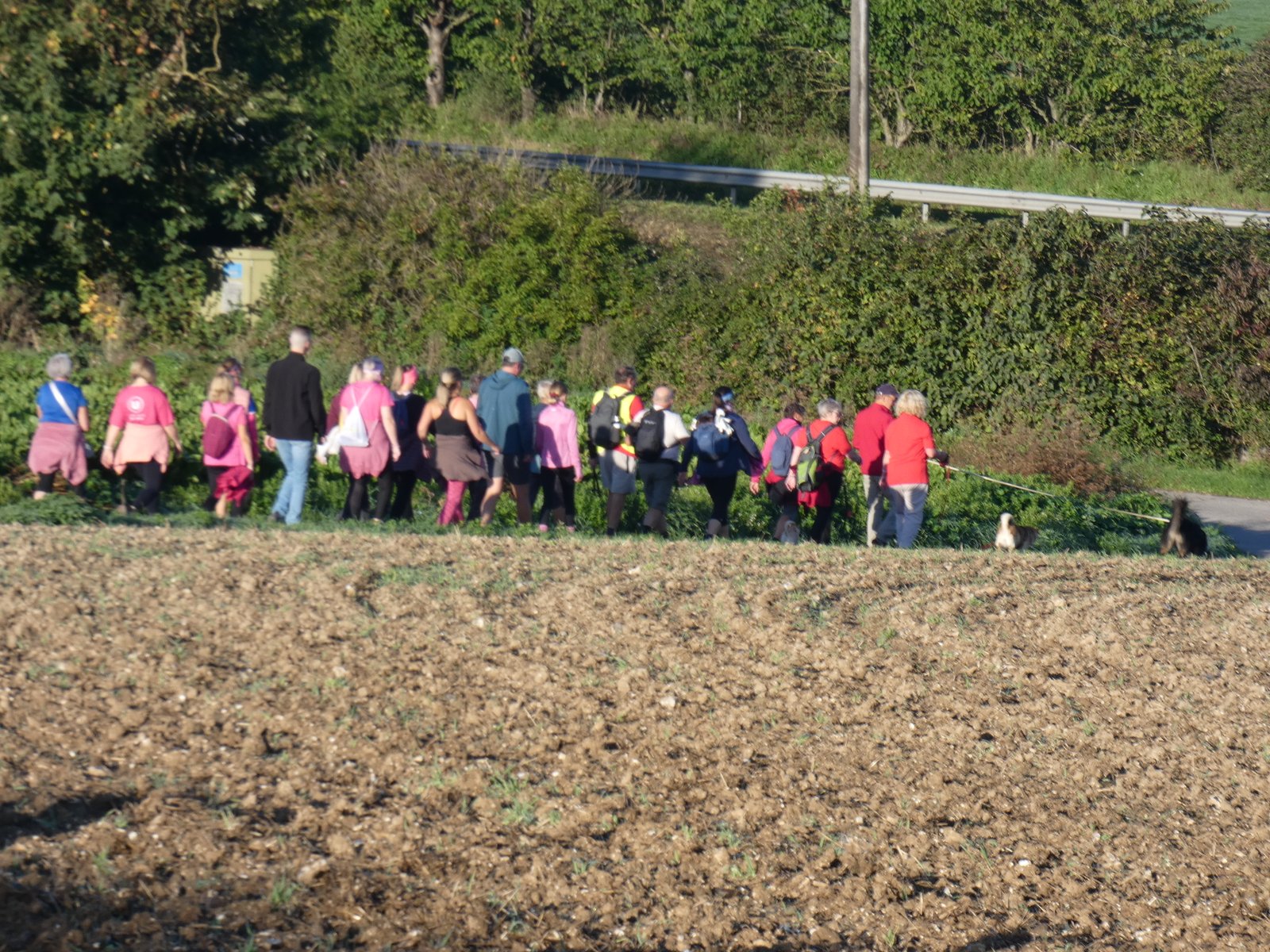 Image 150