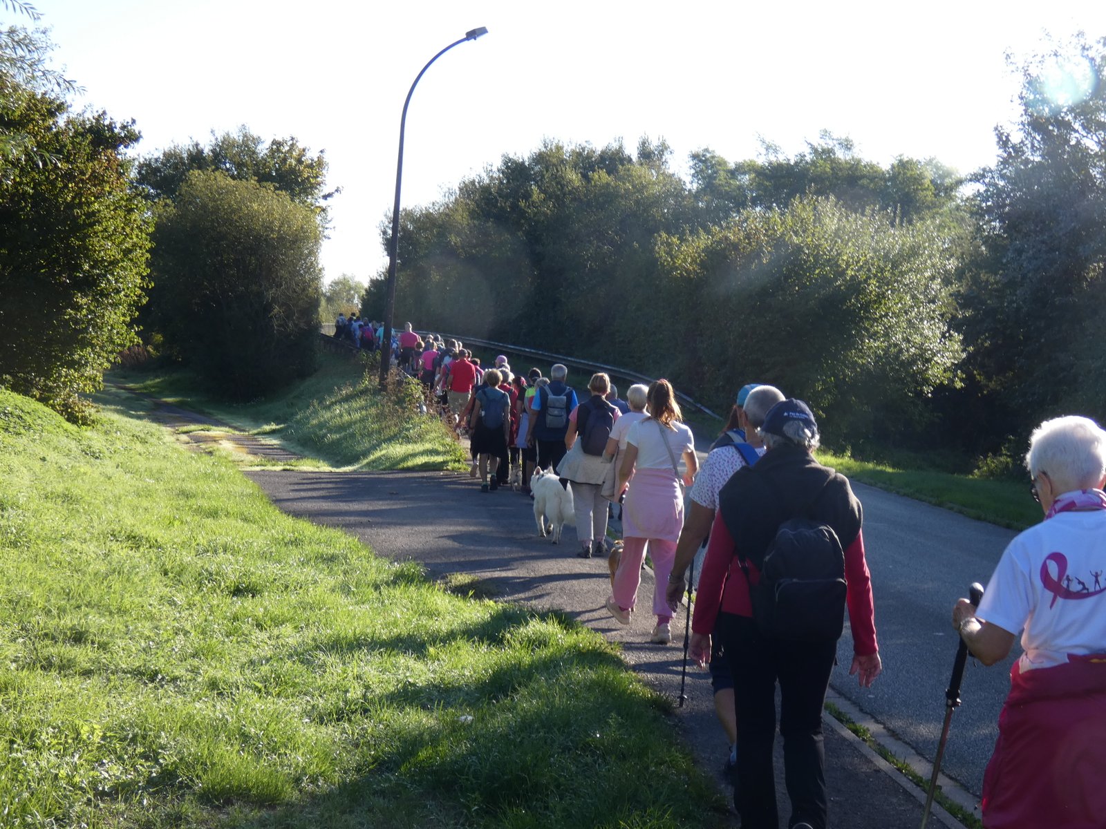 Image 85