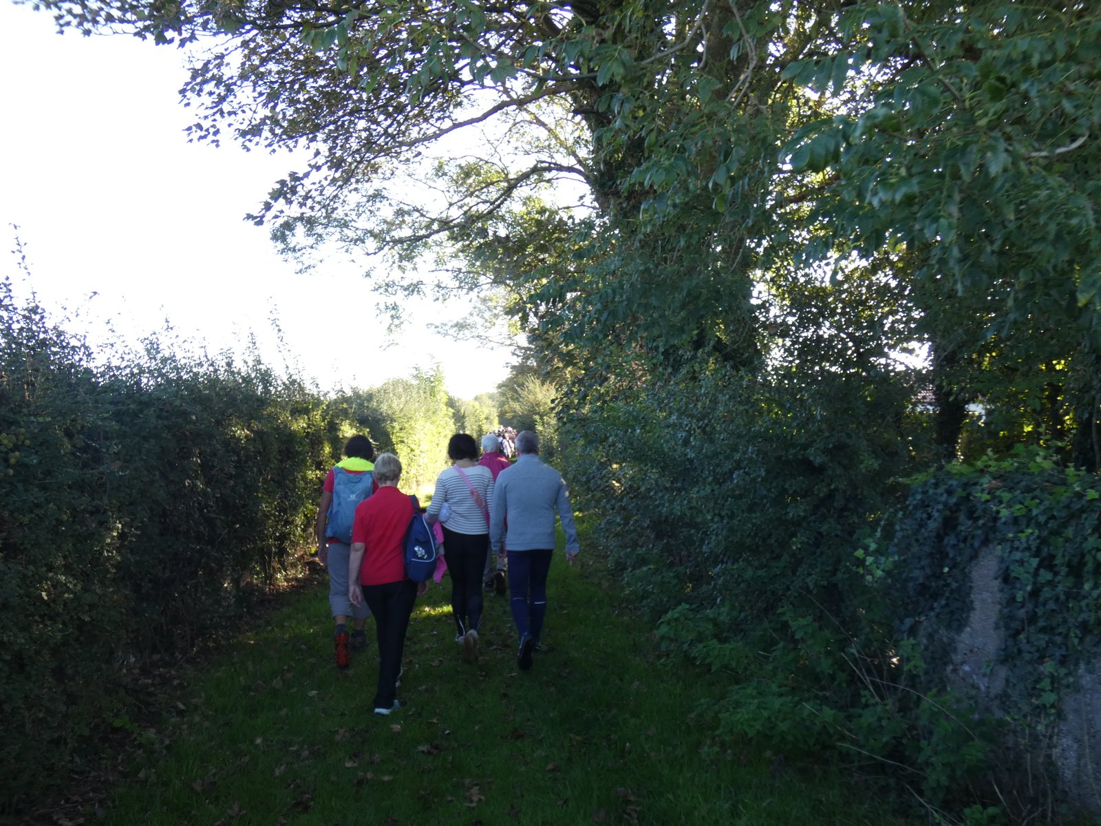 Image 153
