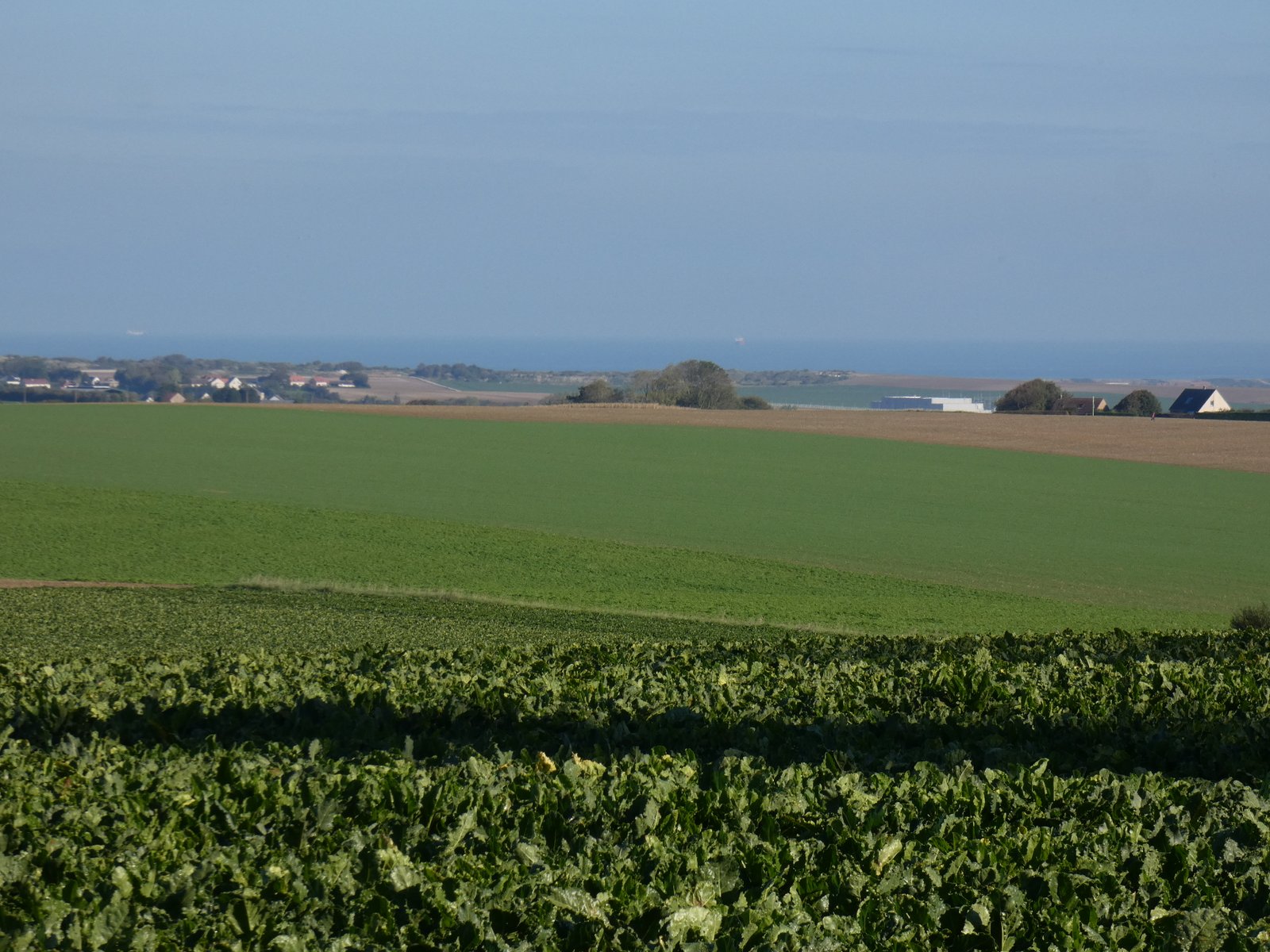 Image 68