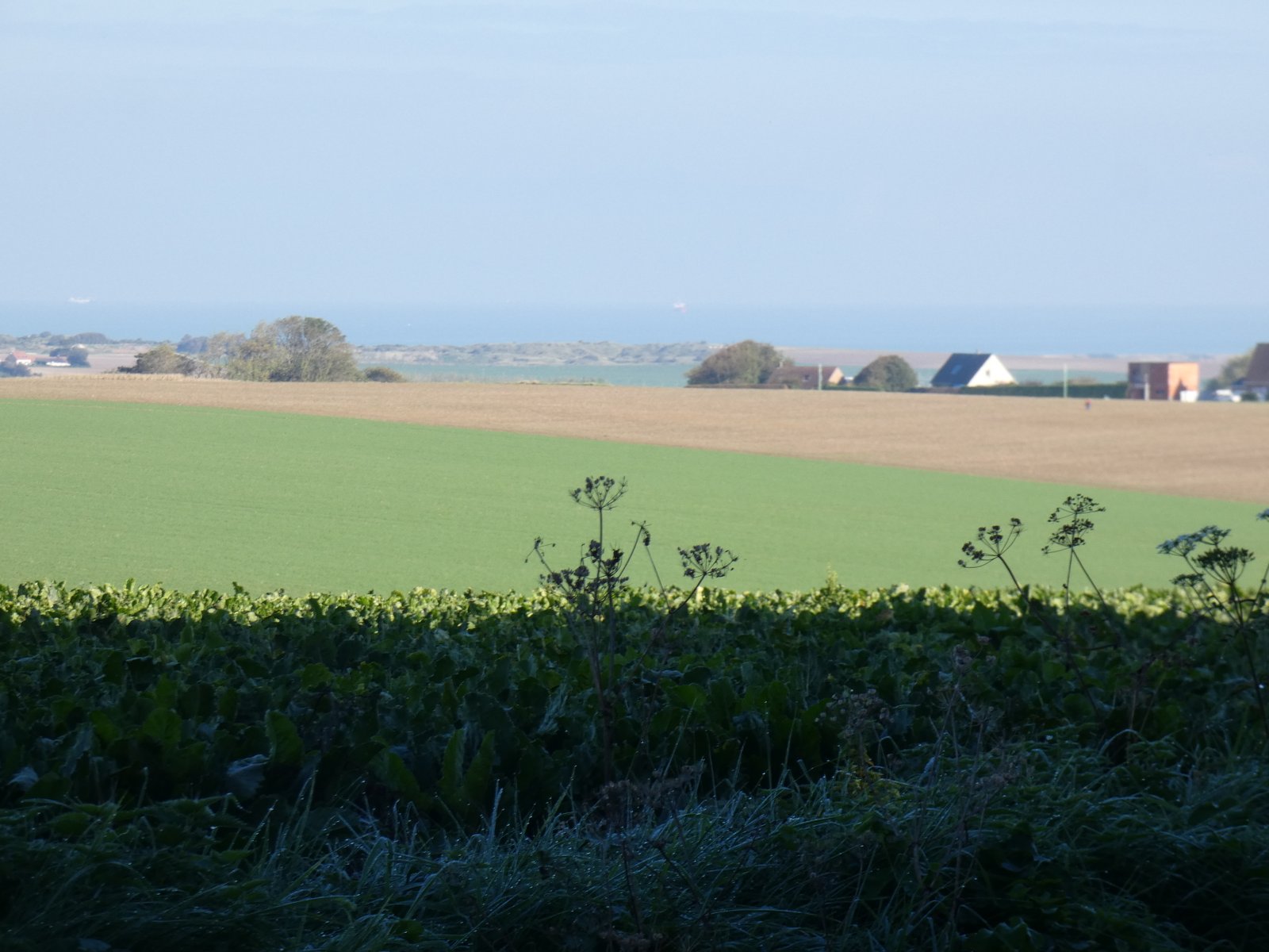 Image 66
