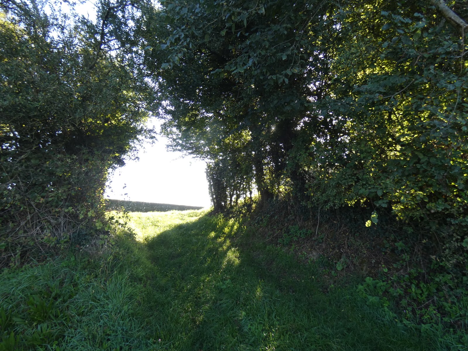 Image 171