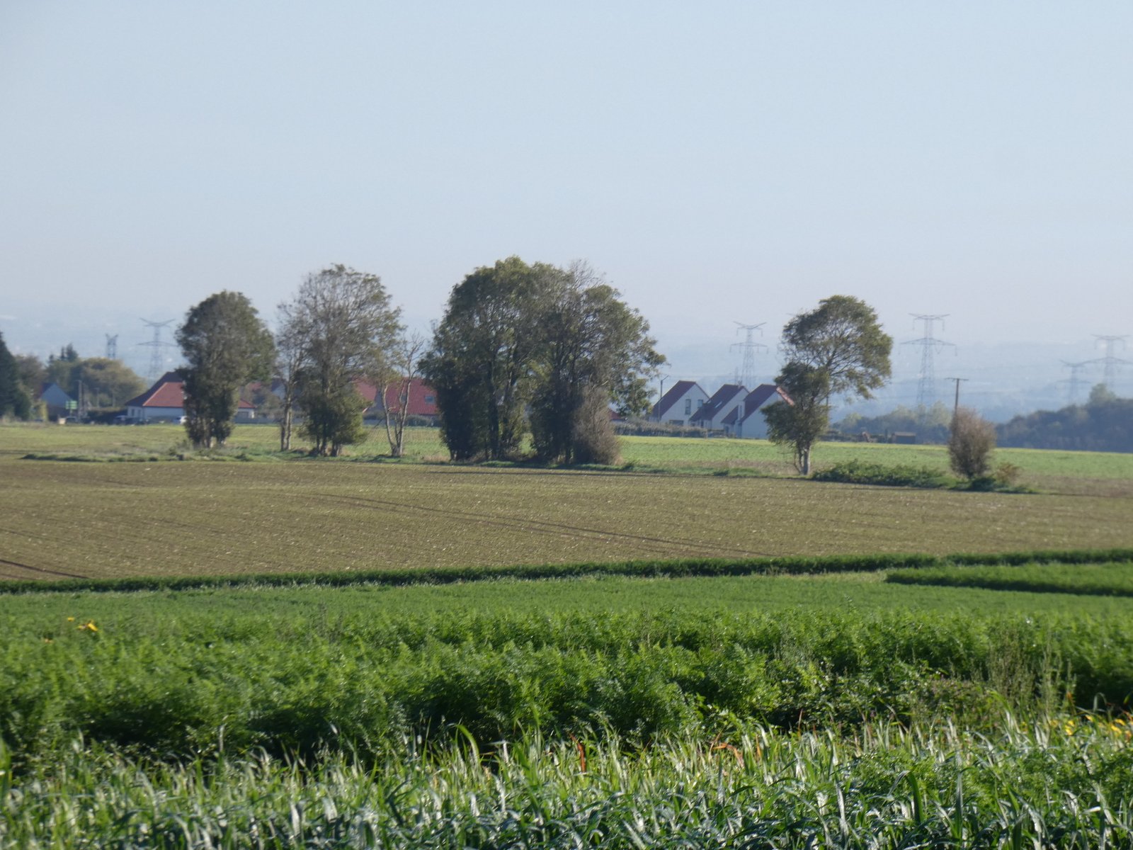 Image 111