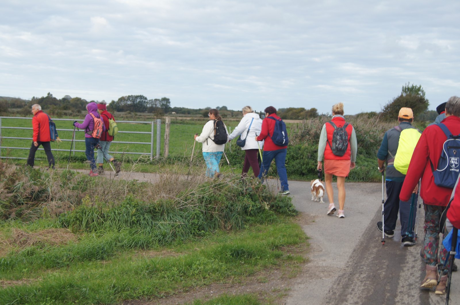 Image 54