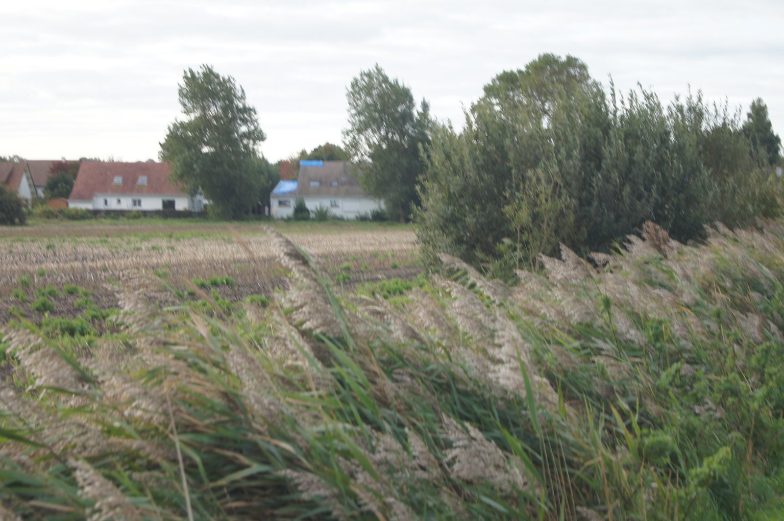 Image 132