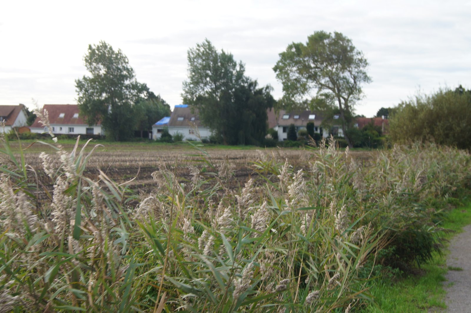 Image 104