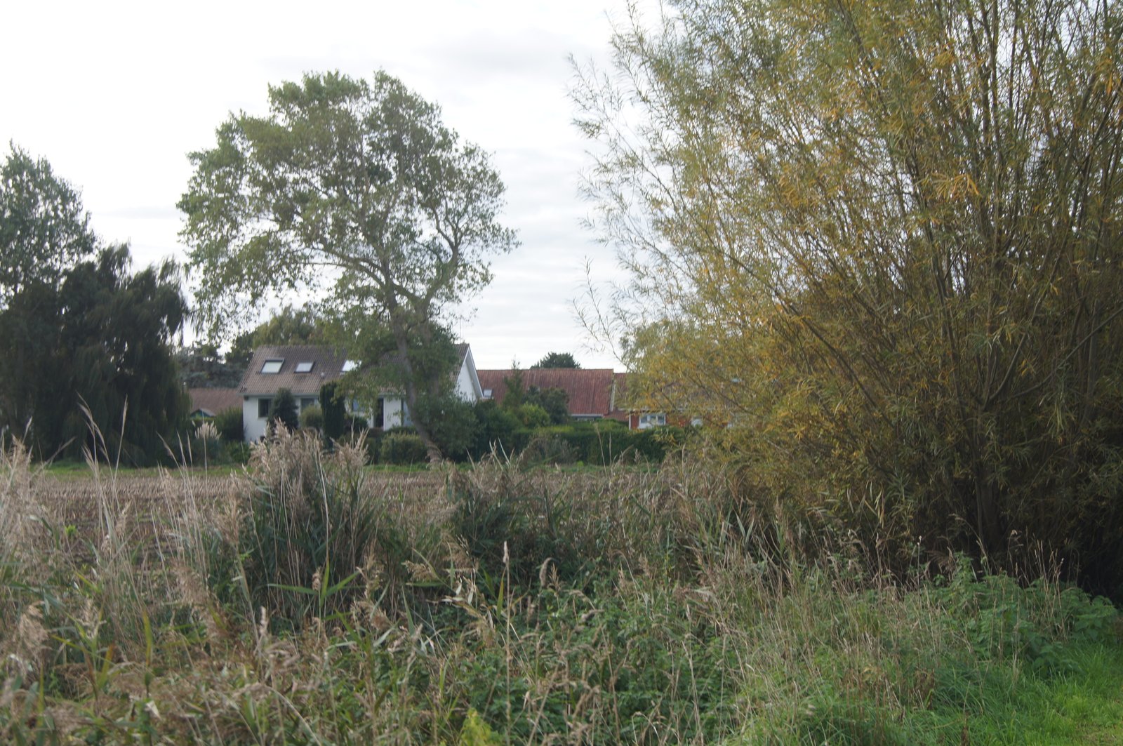 Image 44