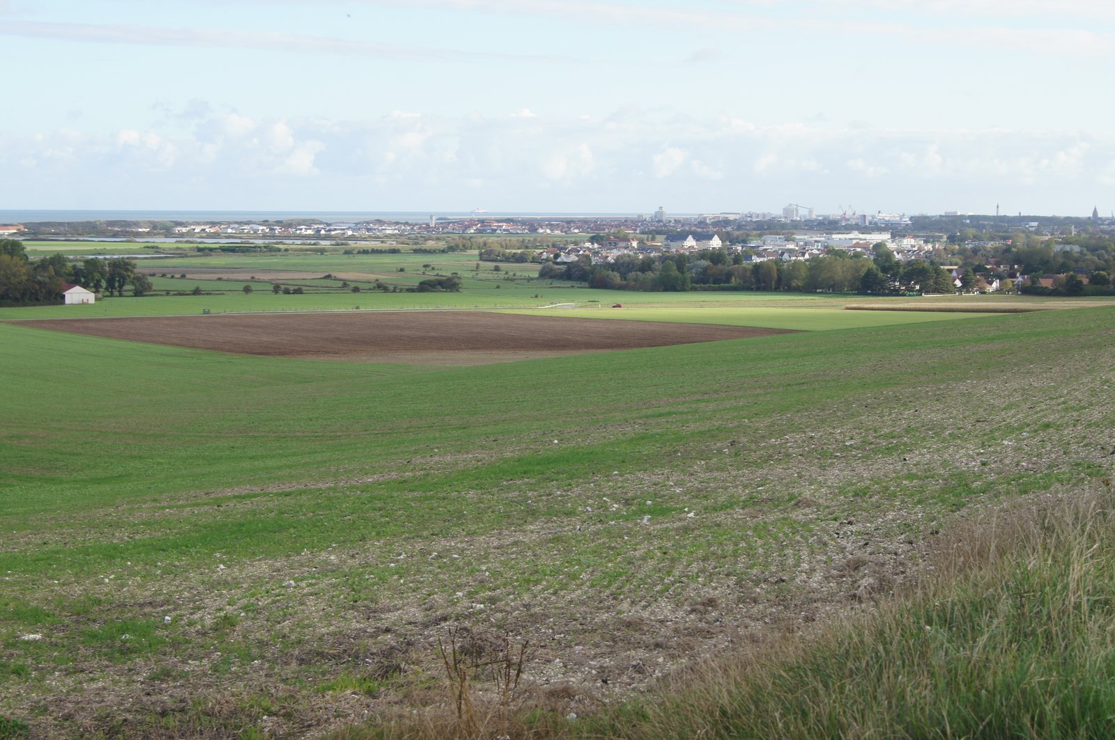 Image 116