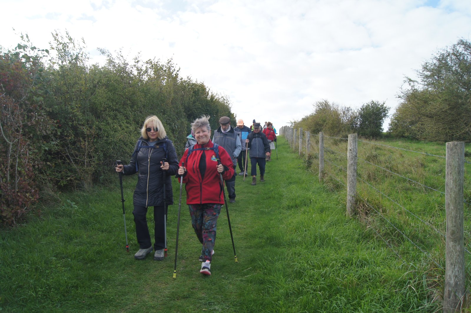 Image 155