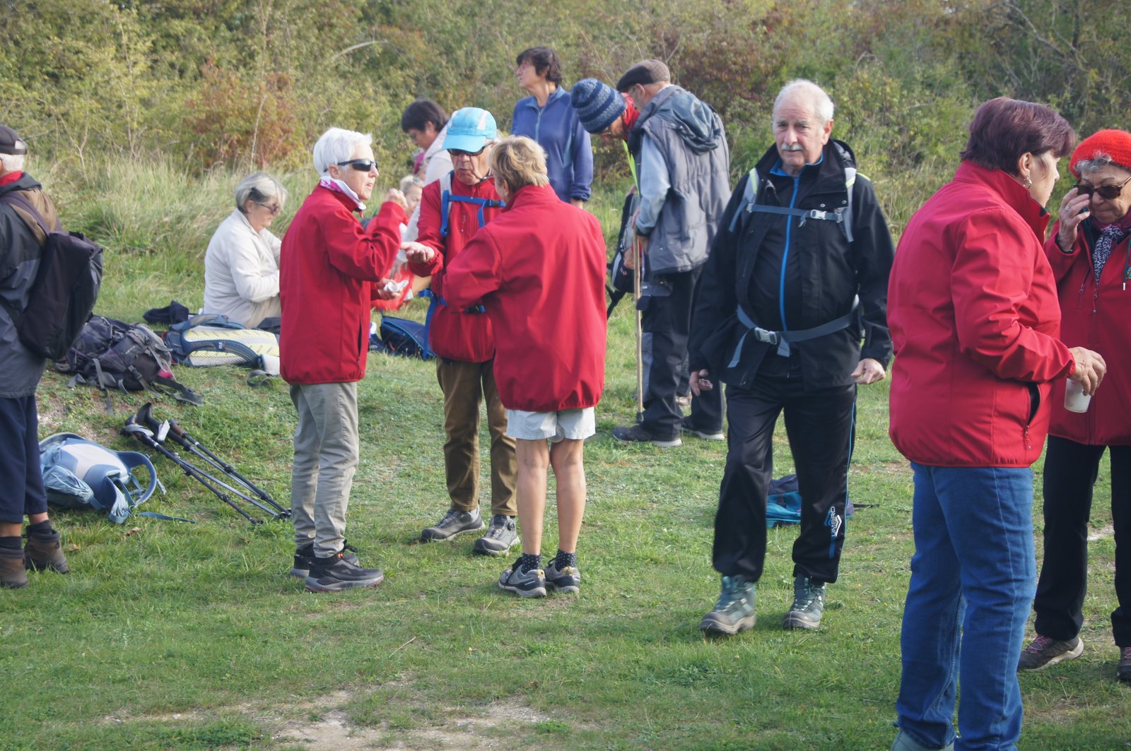Image 76