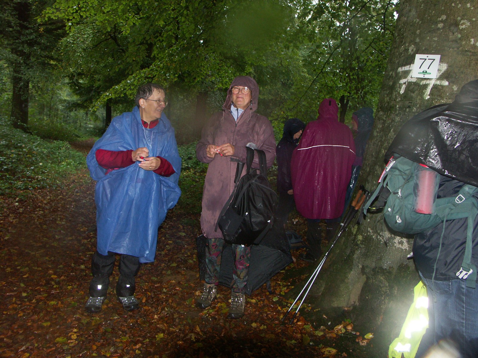 Image 103