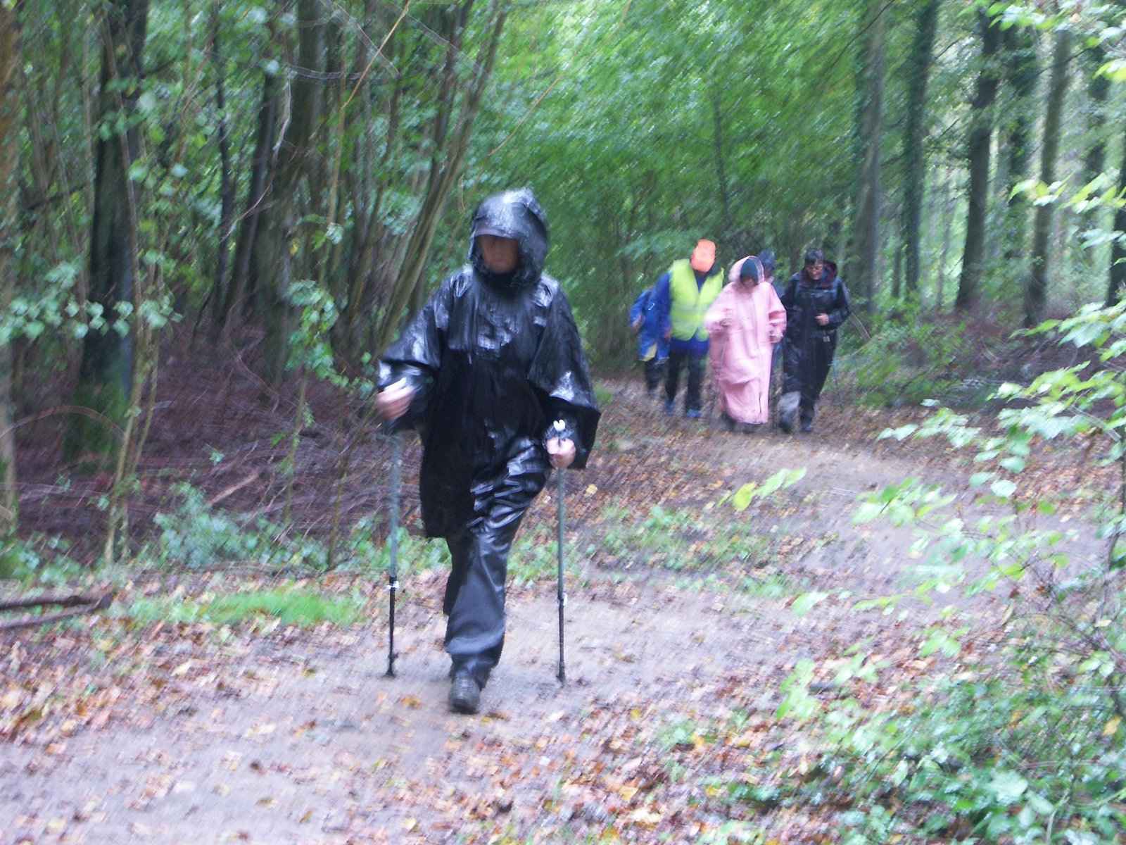 Image 14