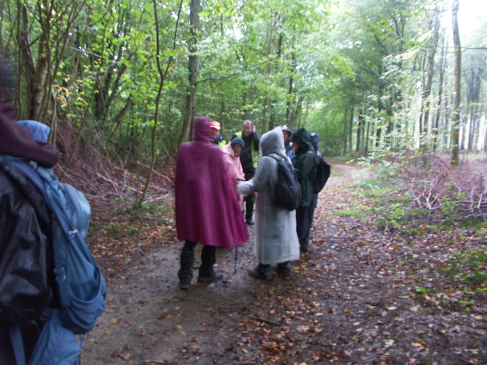 Image 122