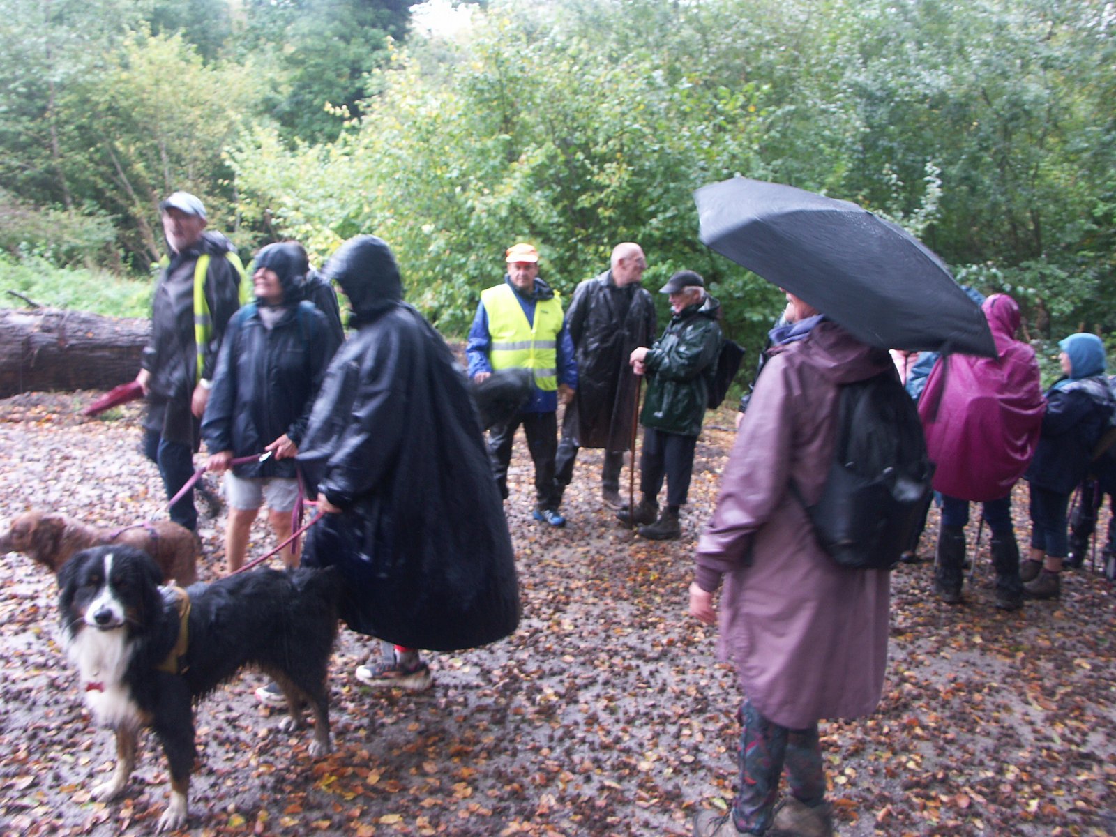 Image 76