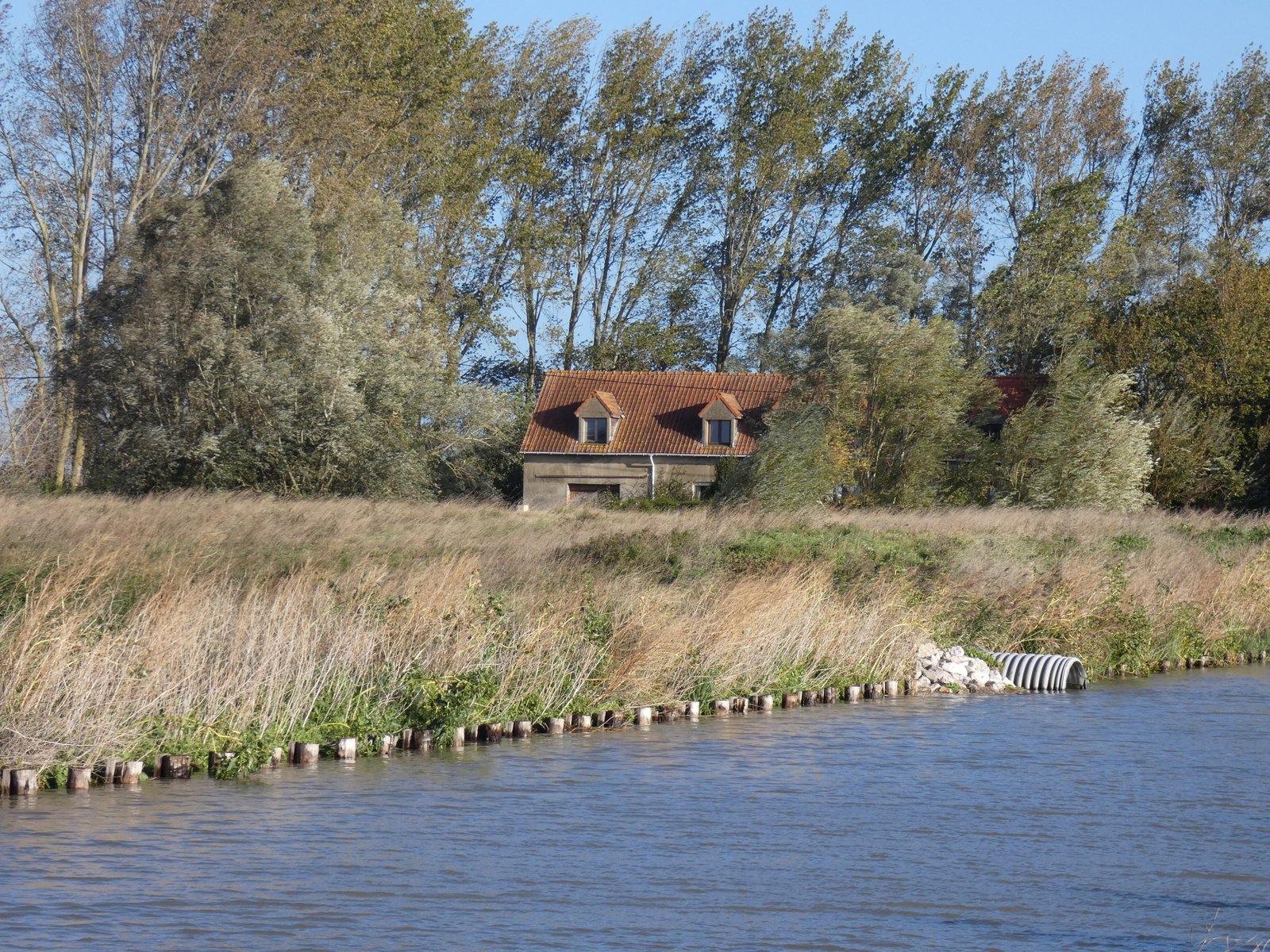 Image 116