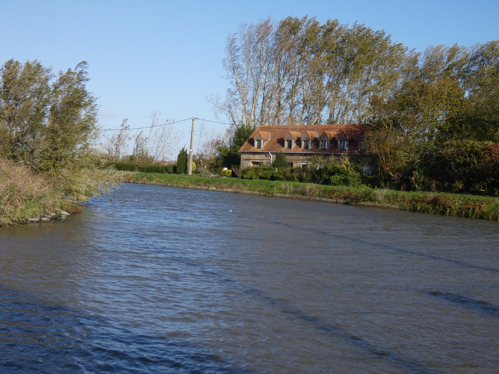 Image 188