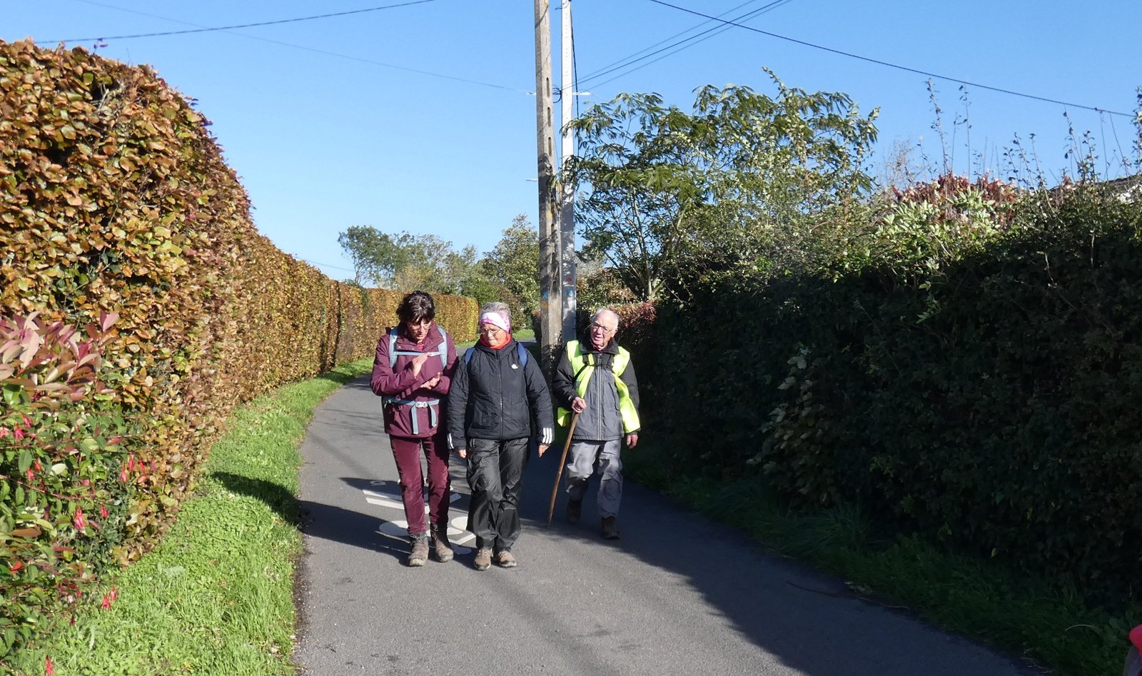 Image 74