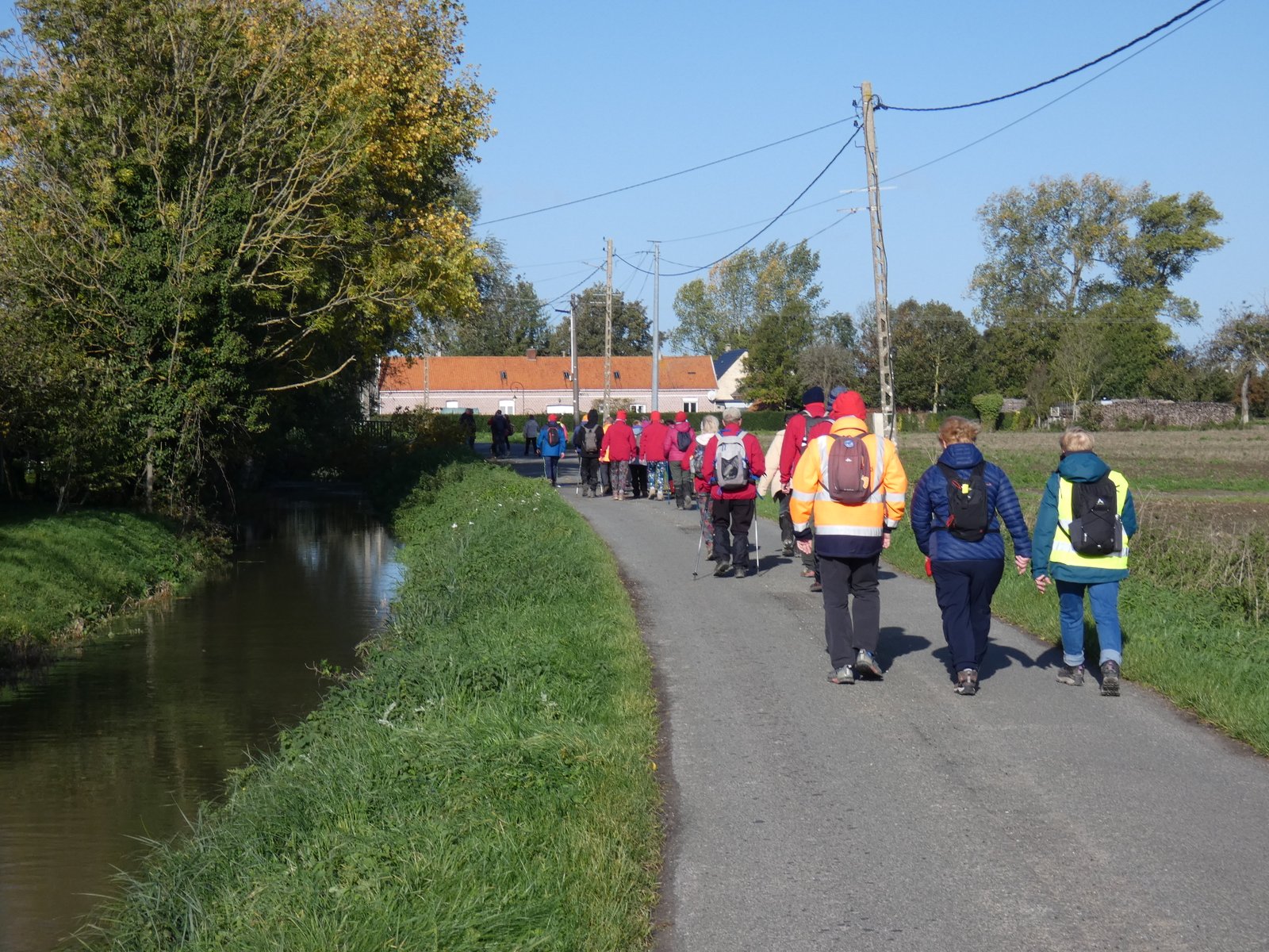 Image 62