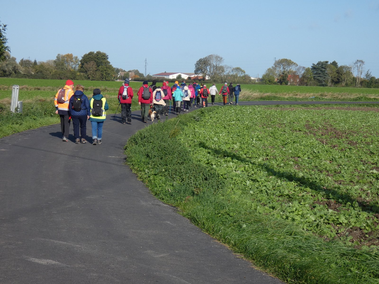 Image 88