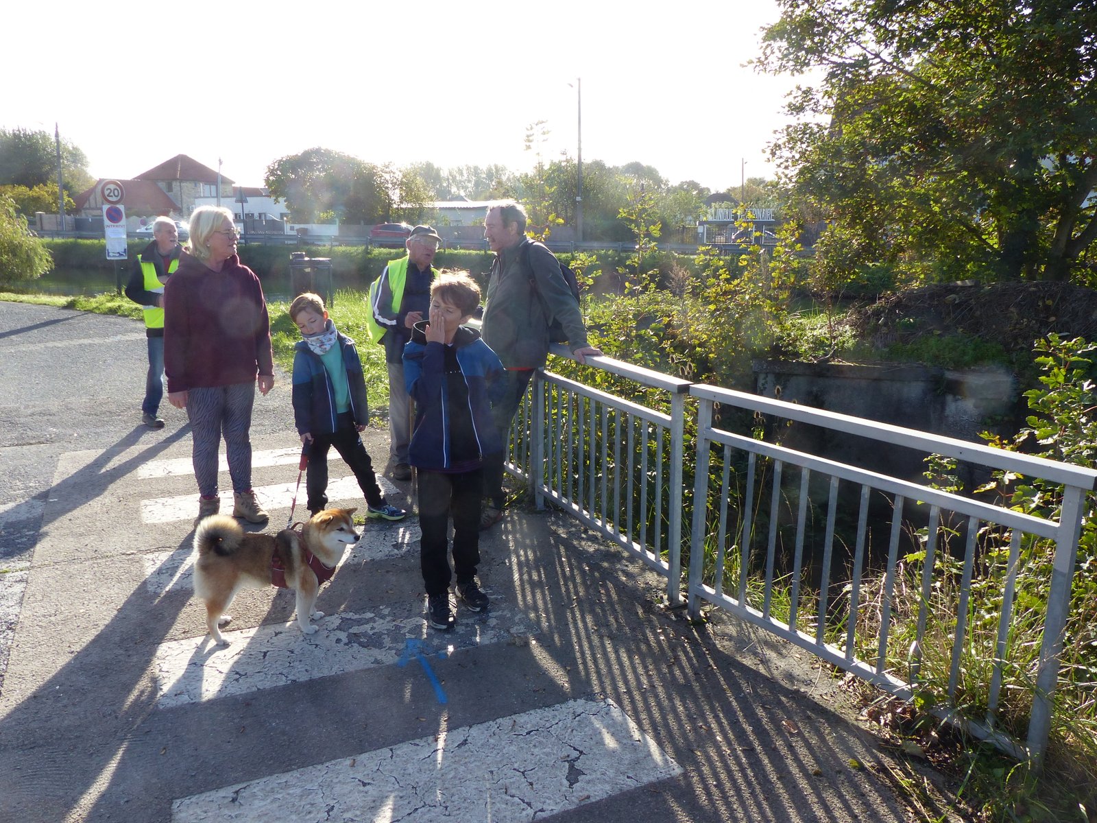 Image 82