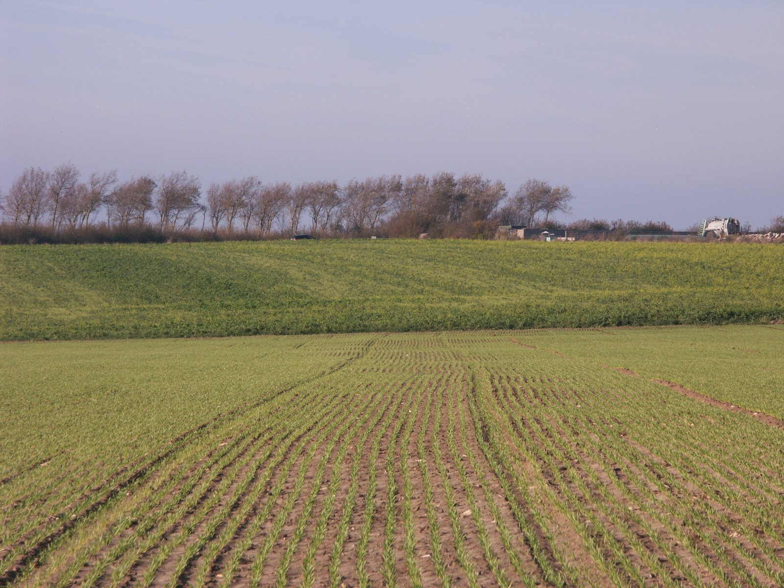 Image 51