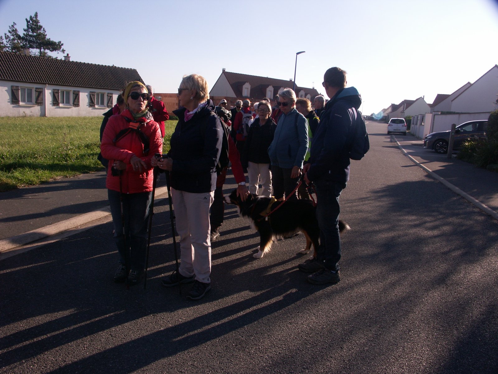 Image 204